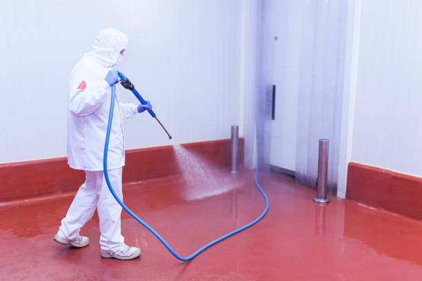 Best Roof Washing  in Wheatley Heights, NY
